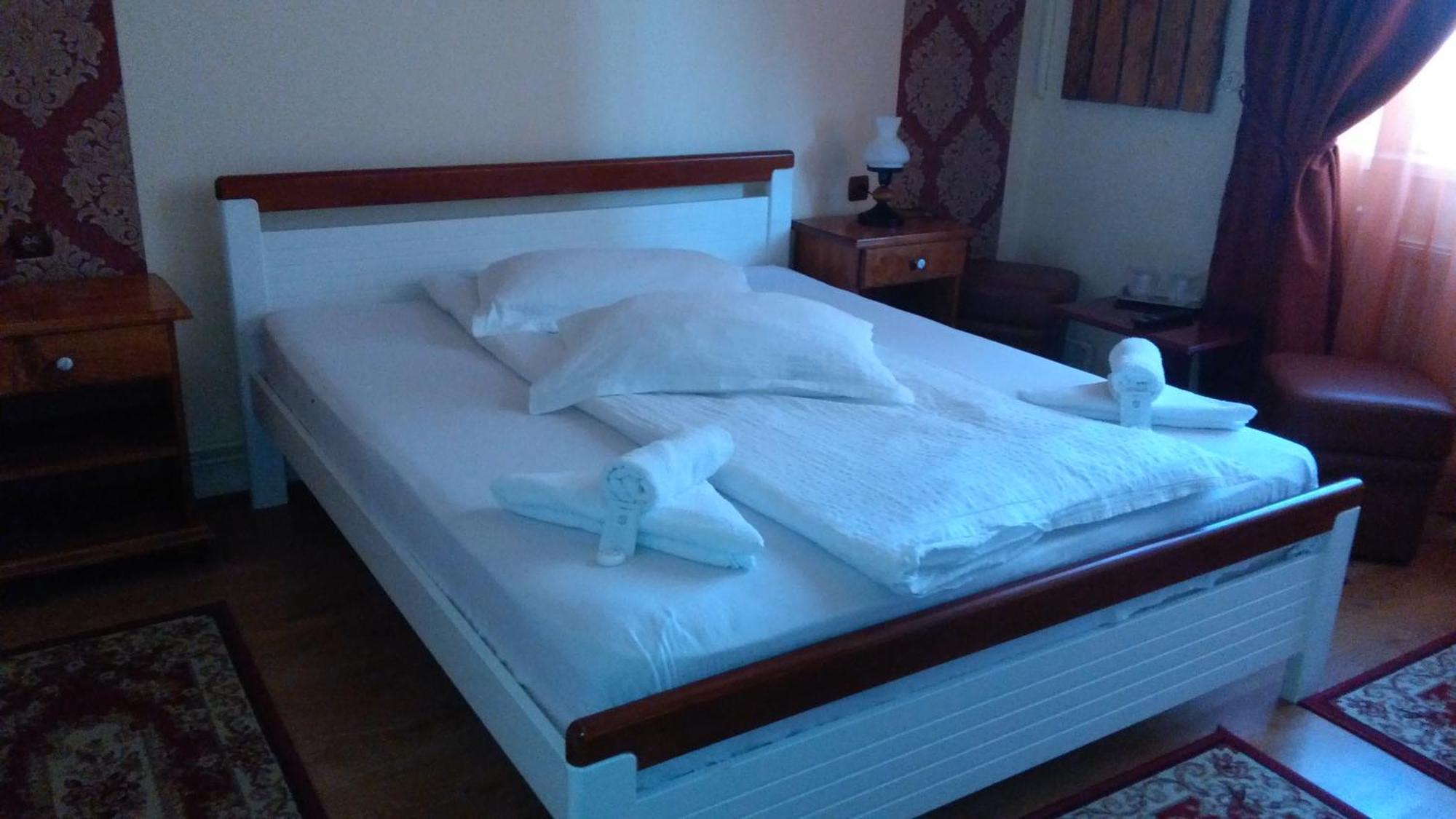 Vila Nicoleta Guest house *