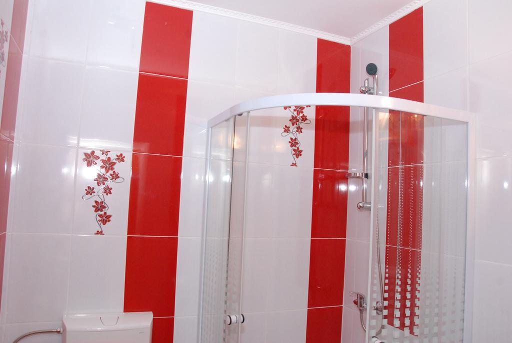 Guest house Vila Nicoleta