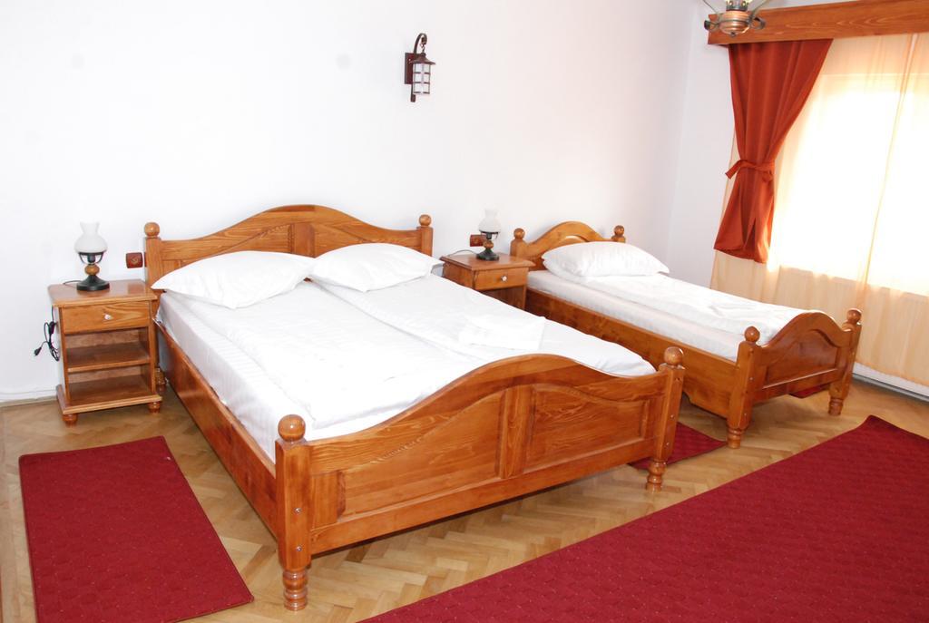 Vila Nicoleta Sibiu
