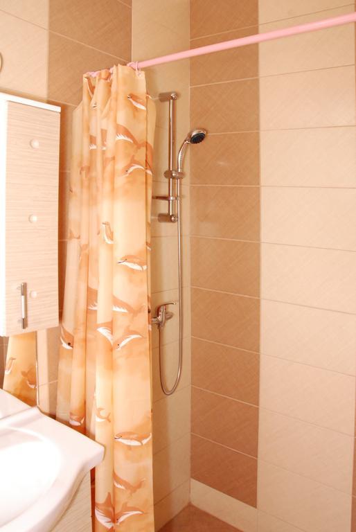 Vila Nicoleta Guest house Sibiu